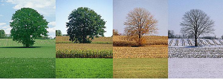 TGA 2023观看人数达1.18亿次 十年历史最高纪录